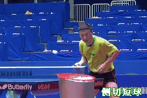 20170519120235.gif