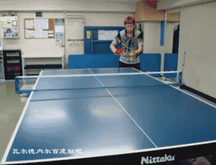 1.gif