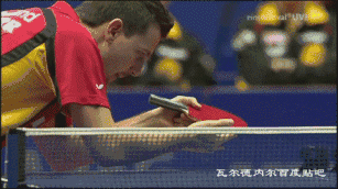 5.gif