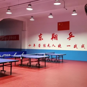 首届斯帝卡DNA套胶·天津市东翔乒乓球俱乐部公开赛暨队内排位赛