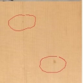 ThibharH-1-9s
