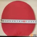 T64