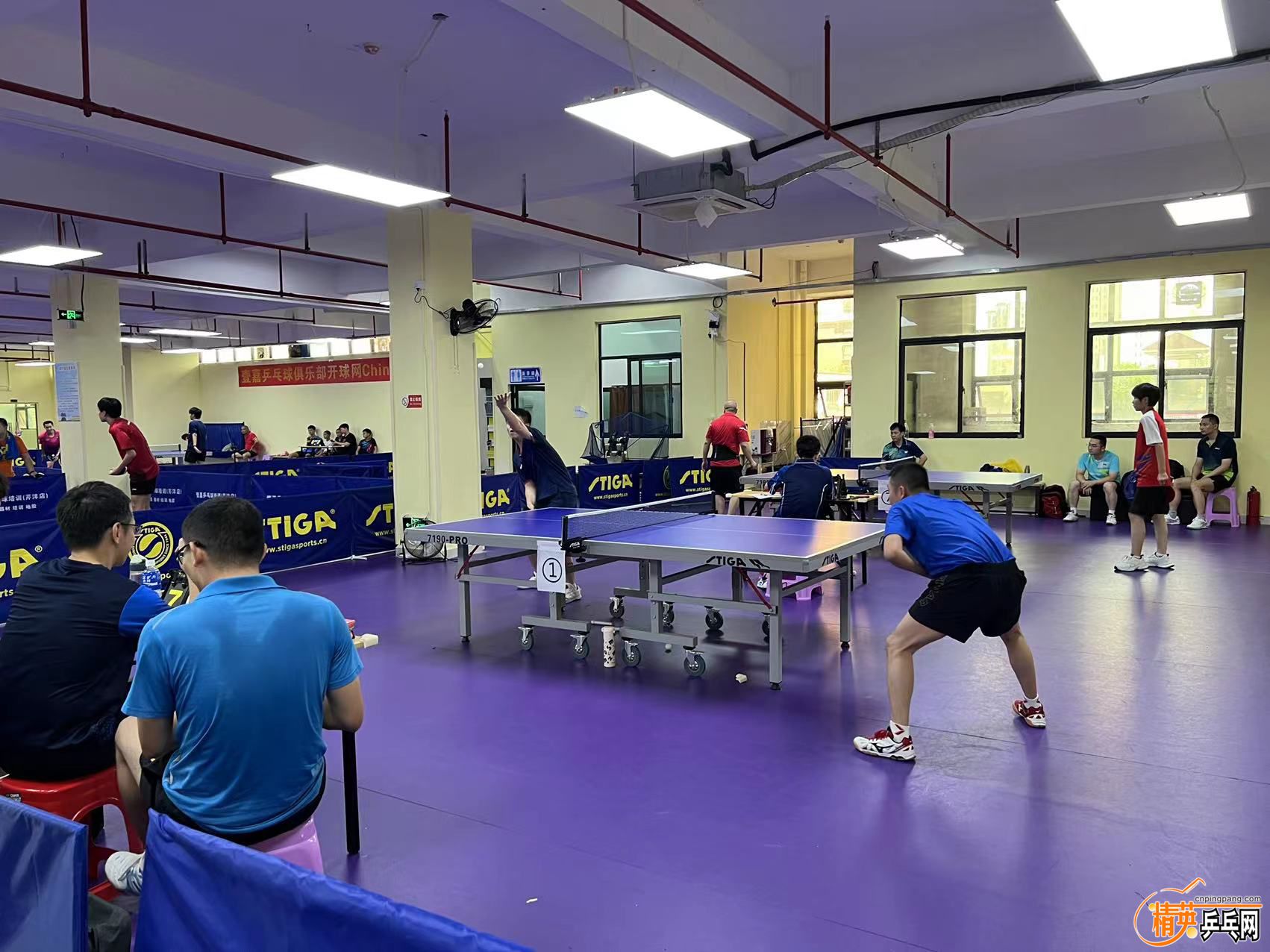 斯帝卡"卡雷巴套胶杯"梅州市壹嘉乒乓球俱乐部2024年8月24日单人让分